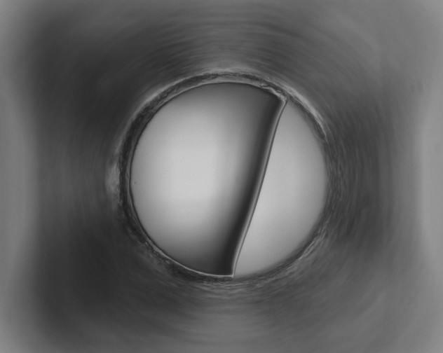 X0000102870975200808181042