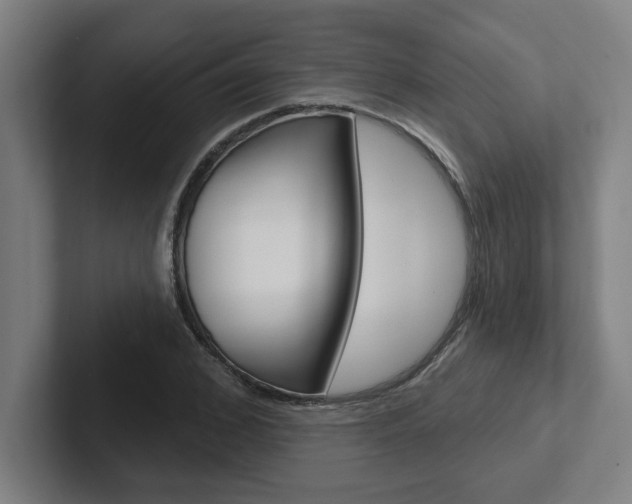X0000102870976200808181042