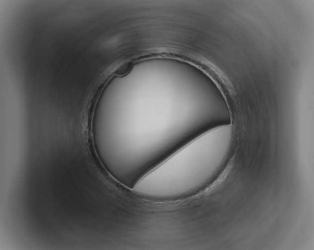 X0000102870977200808181042