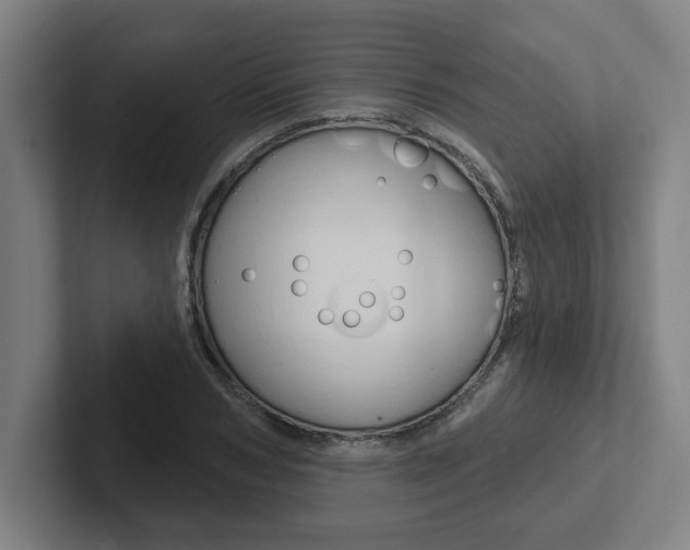 X0000102870978200808181042