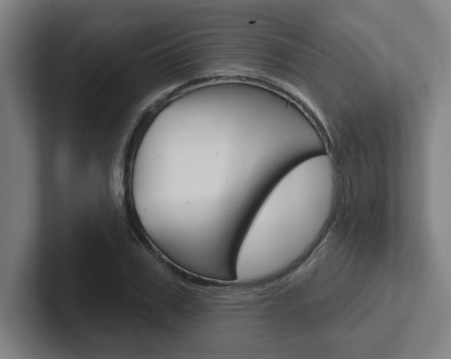 X0000102870979200808181042