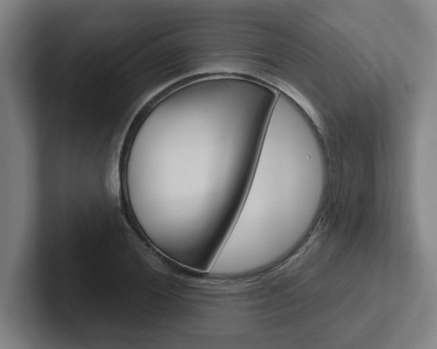 X0000102870980200808181042