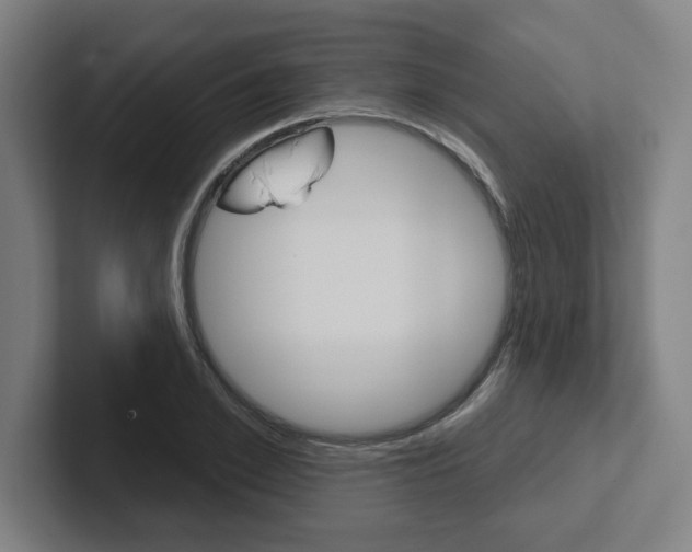 X0000102870981200808181042