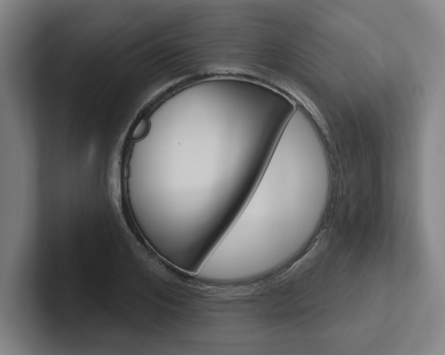 X0000102870984200808181042