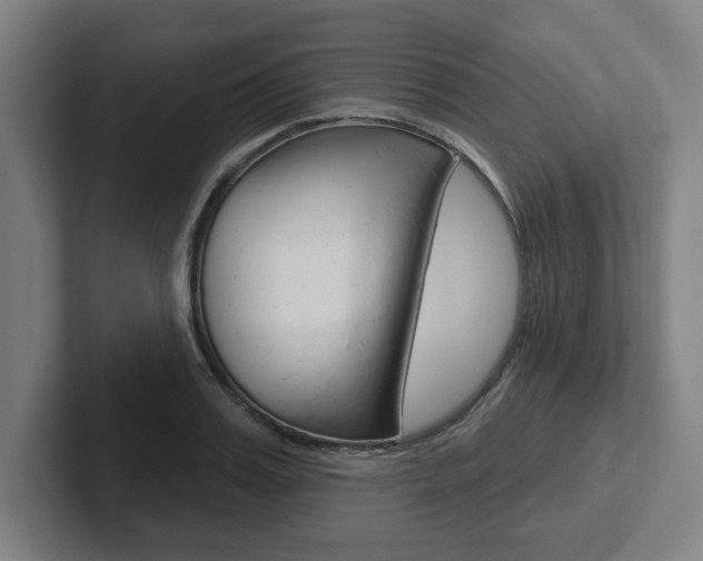 X0000102870987200808181042