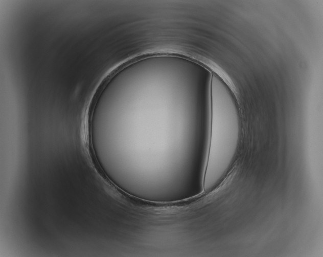 X0000102870988200808181042