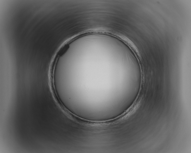 X0000102870989200808181042