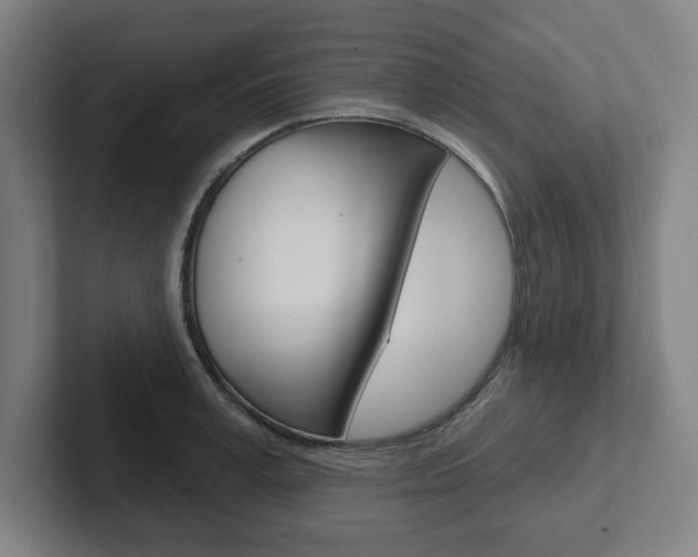 X0000102870995200808181042