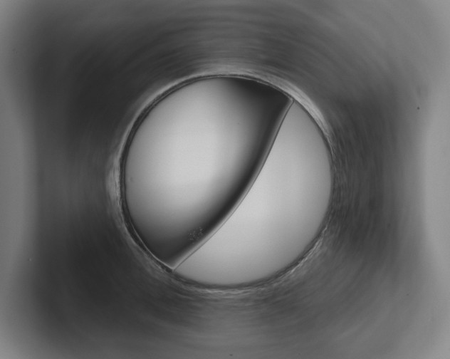 X0000102870996200808181042