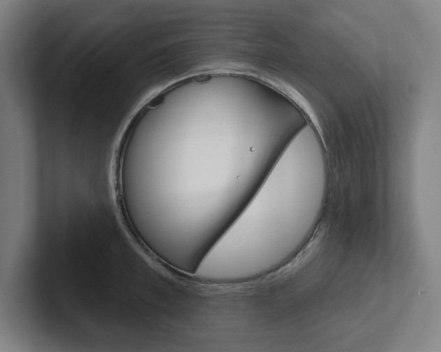 X0000102870997200808181042