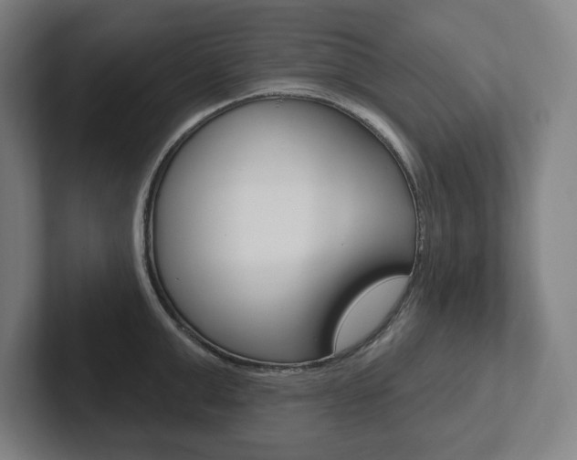 X0000102870999200808181042