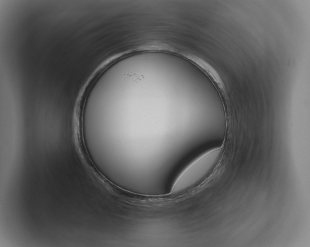 X0000102871000200808181042