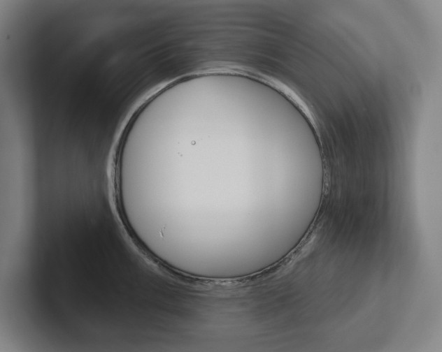X0000102871003200808181042