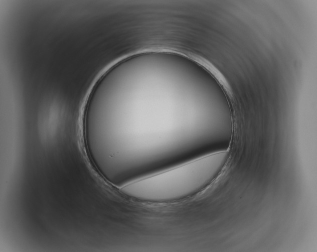 X0000102871004200808181042