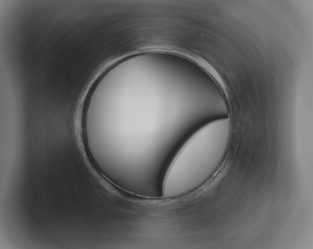 X0000102871005200808181042