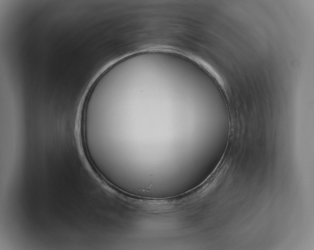 X0000102871007200808181042