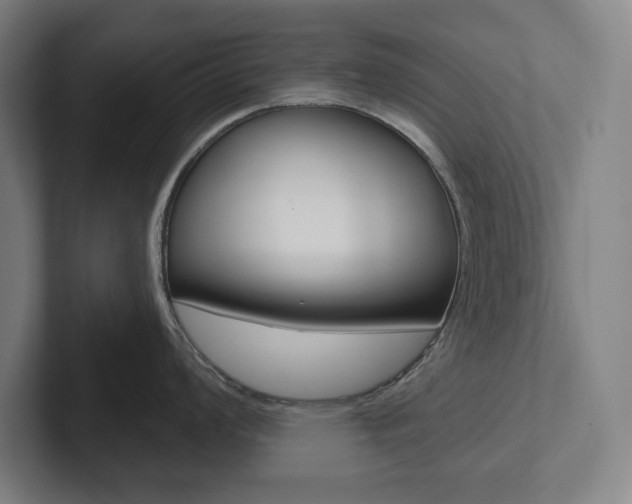 X0000102871008200808181042