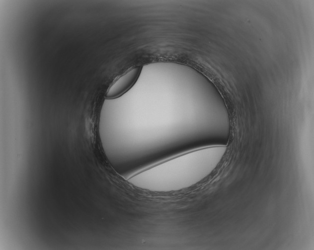 X0000102871010200808181041