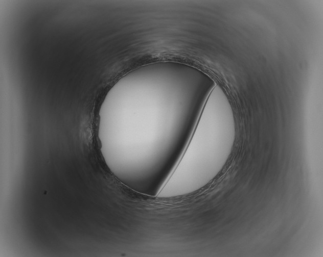 X0000102871012200808181041