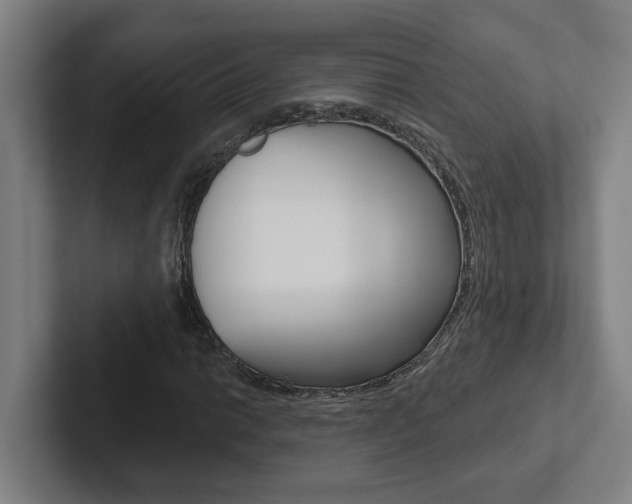 X0000102871014200808181041