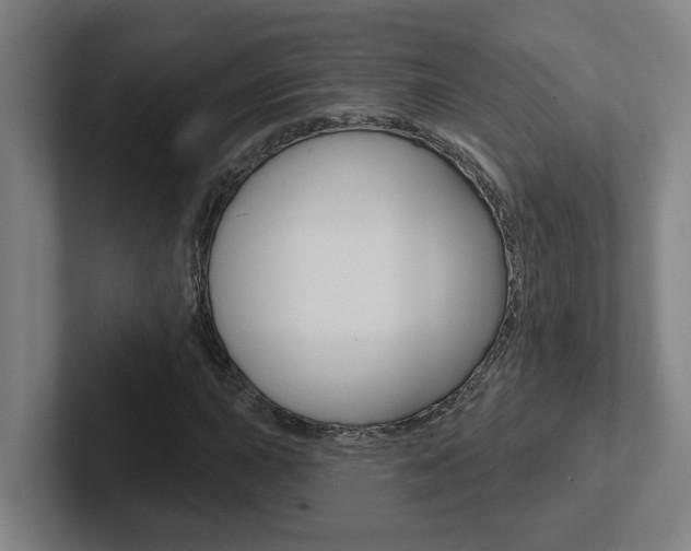 X0000102871015200808181041