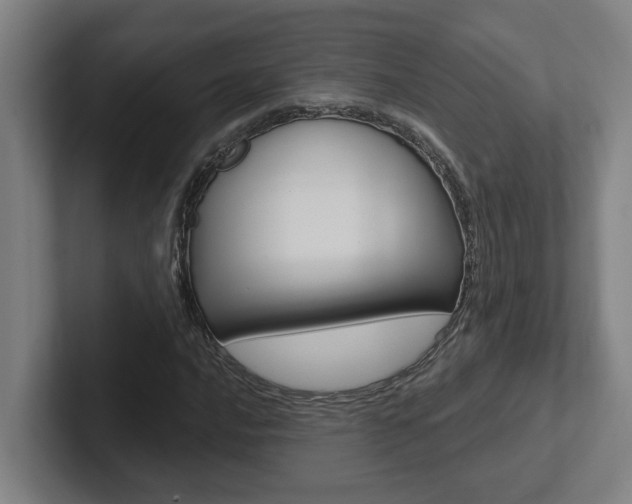 X0000102871016200808181041