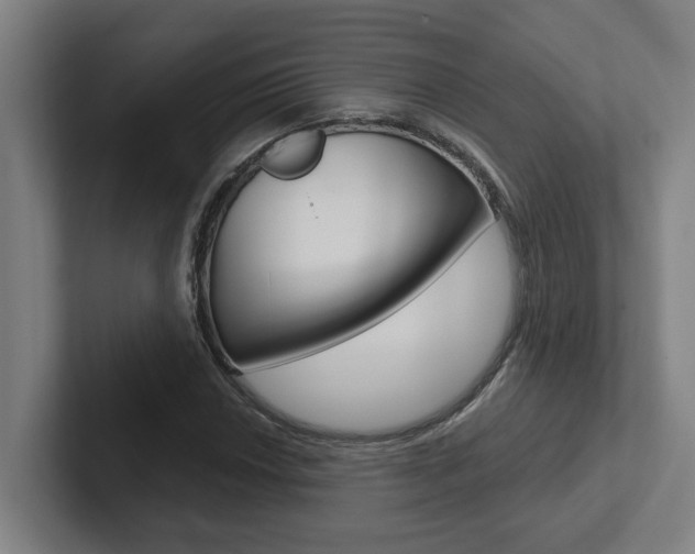 X0000102871018200808181041
