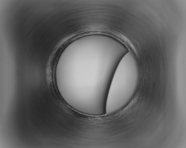 X0000102871019200808181041