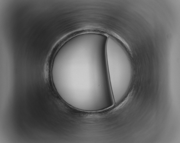 X0000102871021200808181041