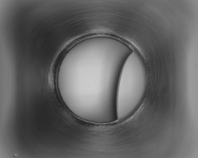 X0000102871022200808181041