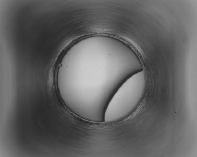X0000102871023200808181041