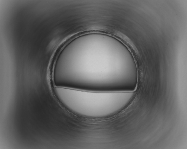 X0000102871024200808181041