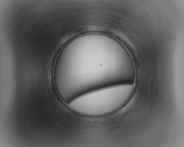 X0000102871025200808181041