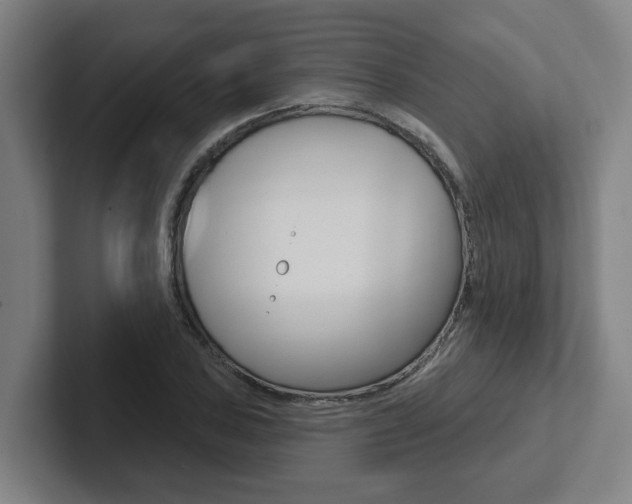 X0000102871027200808181041