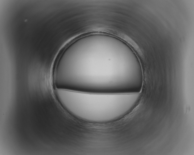 X0000102871028200808181041