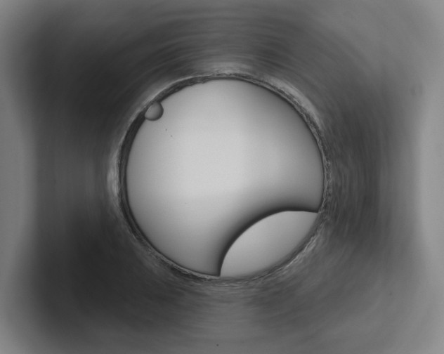 X0000102871031200808181041