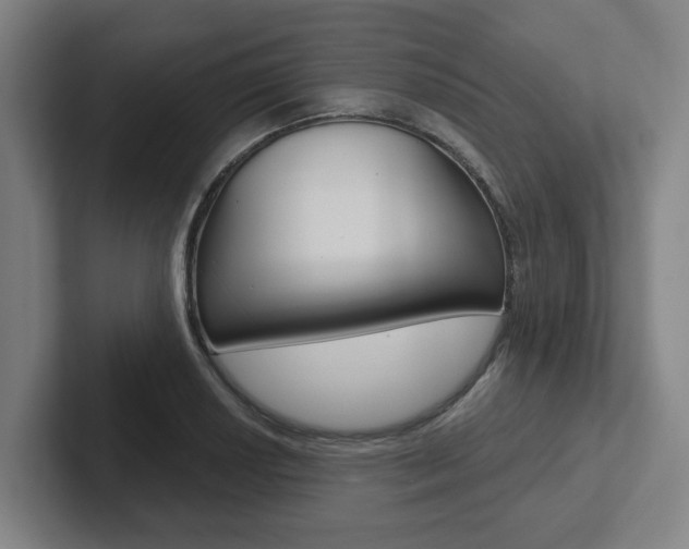 X0000102871034200808181041