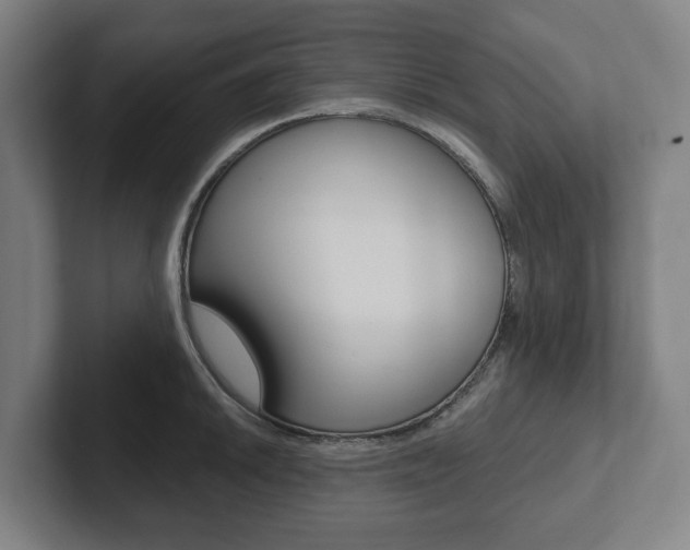 X0000102871046200808181041