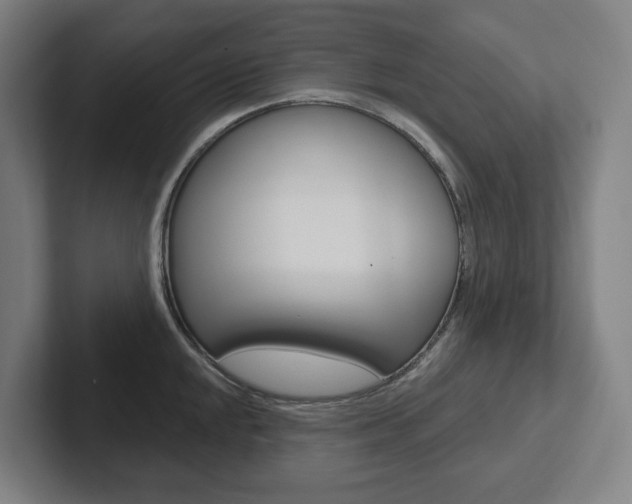 X0000102871048200808181042