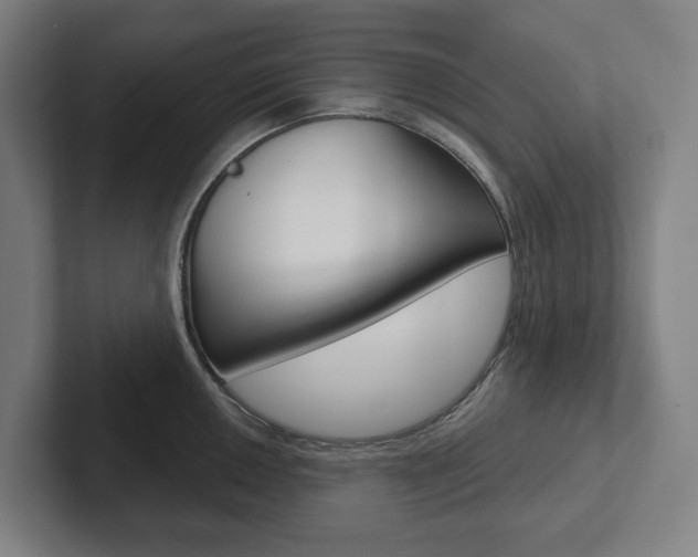X0000102871050200808181042