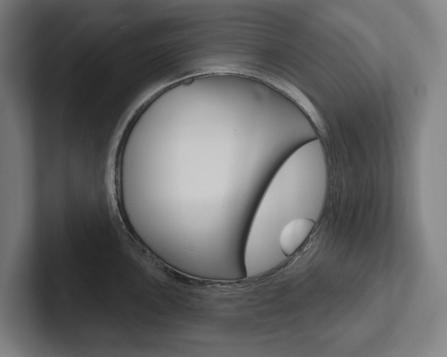 X0000102871051200808181042