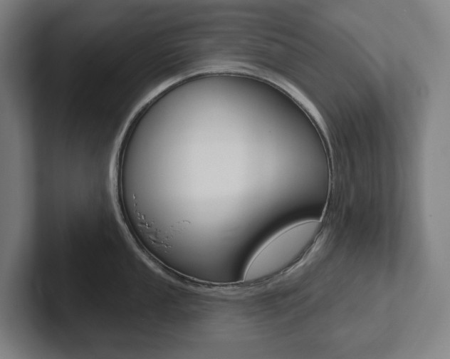 X0000102871053200808181042