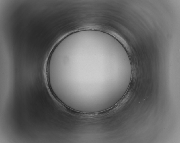 X0000102871055200808181042