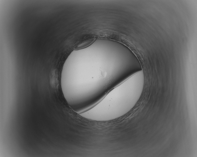 X0000102871058200808181041