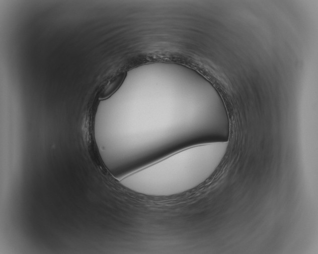 X0000102871060200808181041
