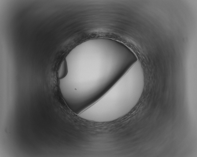 X0000102871062200808181041