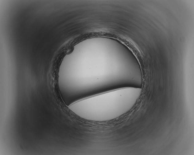 X0000102871064200808181041