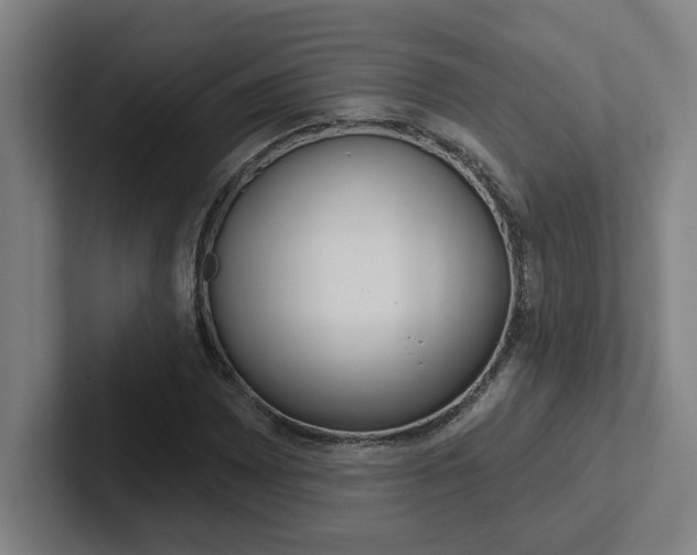 X0000102871065200808181041