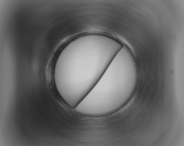 X0000102871067200808181041