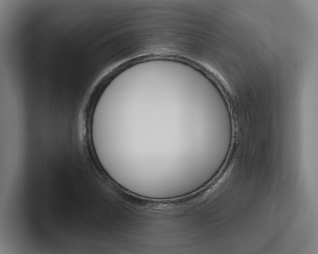 X0000102871070200808181041